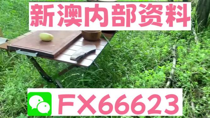 新澳内部一码精准公开-词语释义解释落实