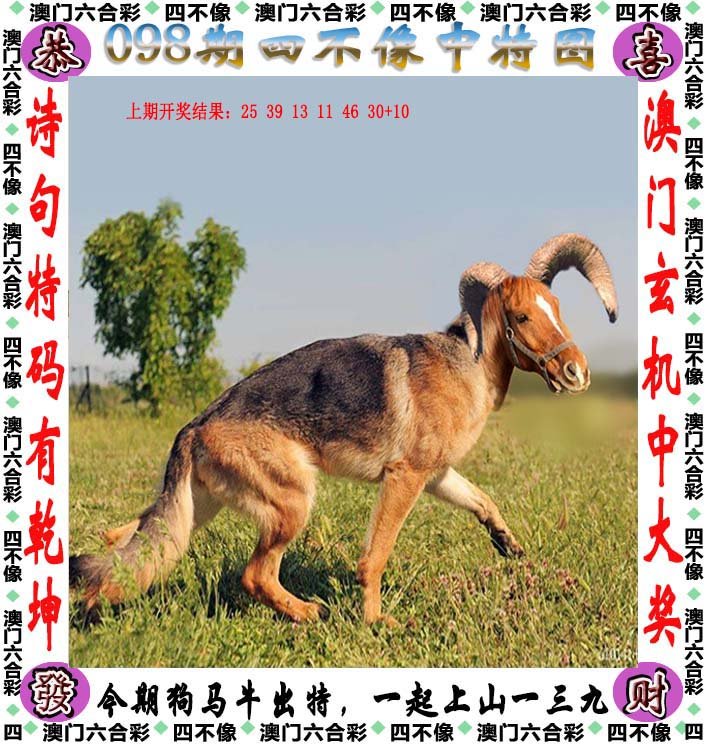 2024今晚开的四不像生肖图-精选解释解析落实